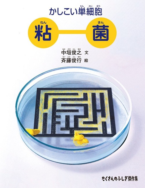 かしこい単細胞 粘菌