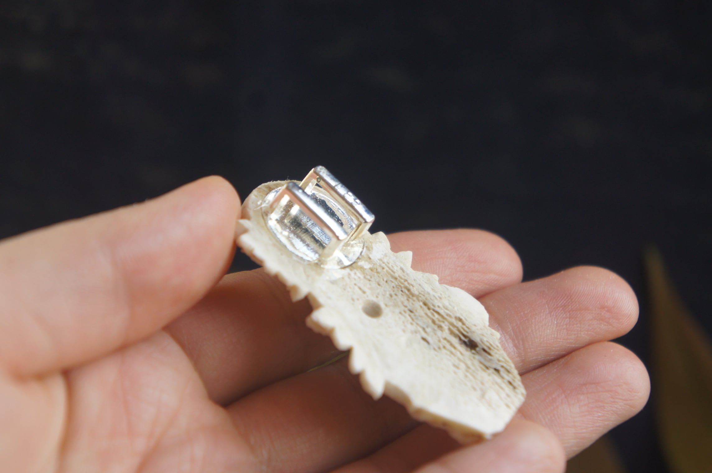 鹿角彫刻の帯留め「月齢」狼と木の葉 | deer bone 