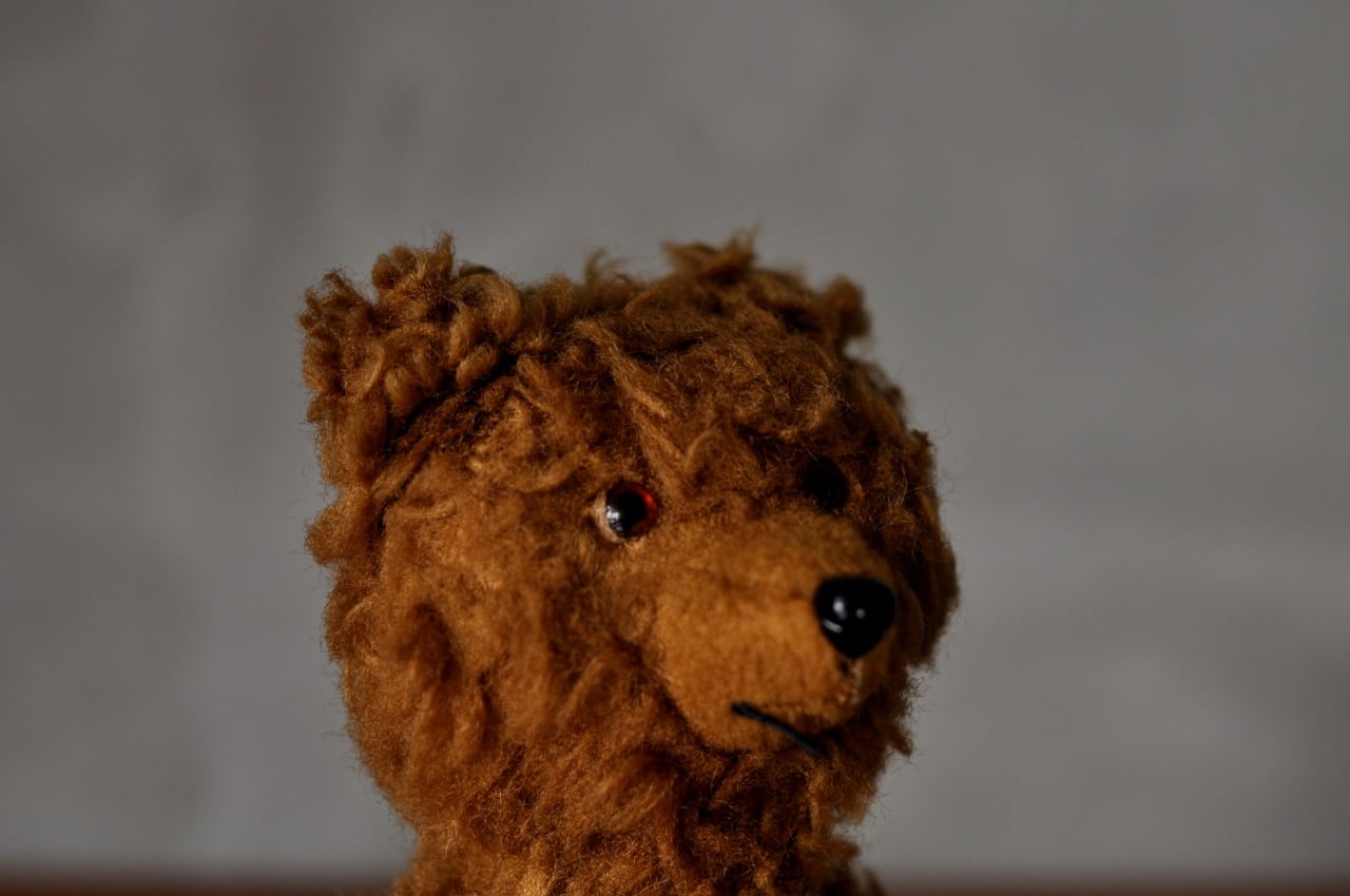 Teddybear5