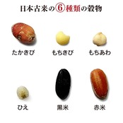 アイリスオーヤマ 雑穀米 十六穀米 個包装 分包タイプ リッチもち麦たっぷりブレンド 450g(30g×15袋)