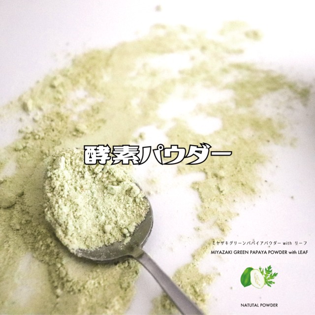 調理の手間なし クラフト酵素パウダー①グリーンパパイア果実皮有り＆葉パウダー 20g
