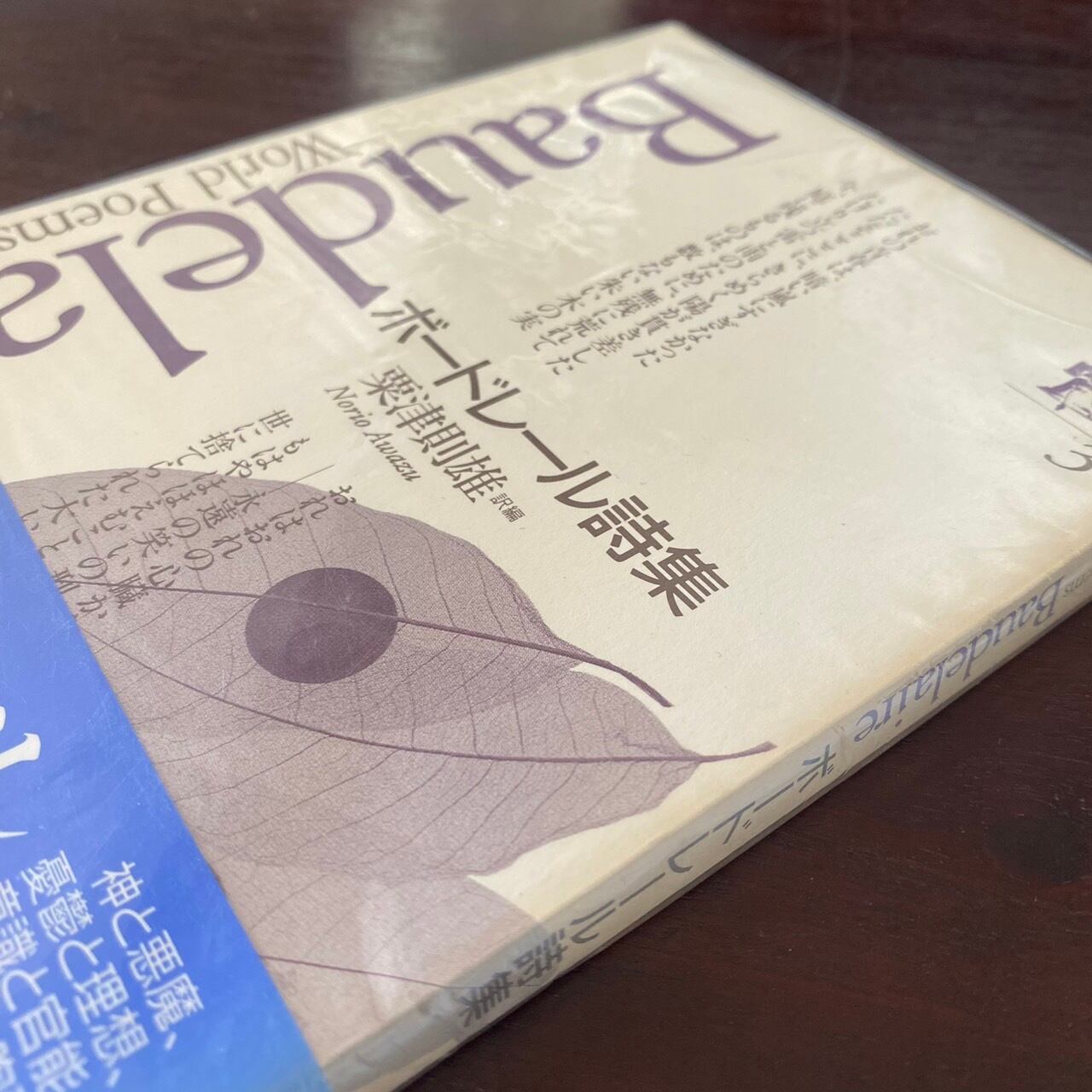 海外詩文庫3『Baudelaire ボードレール詩集』粟津則雄訳編 | サロ書店