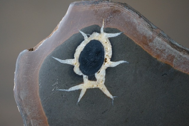 セプタリアン　Septarian　1119