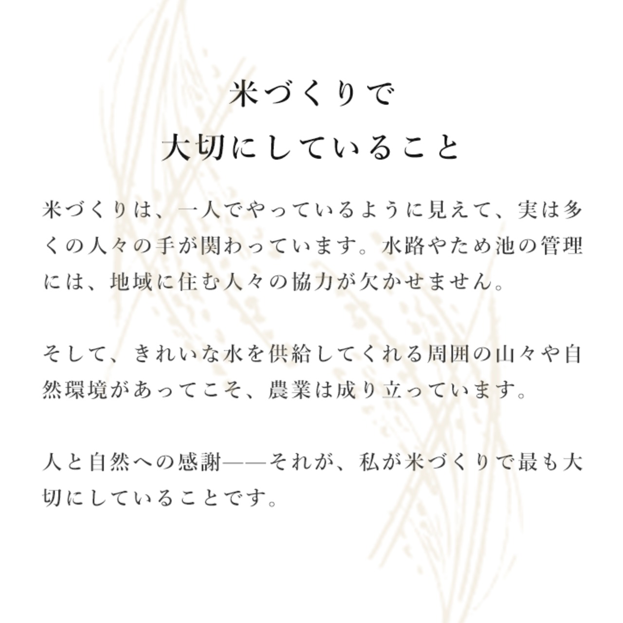 【新米】【福島県産】元木農園「コシヒカリ」5kg　-栽培期間中、農薬・化学肥料不使用-
