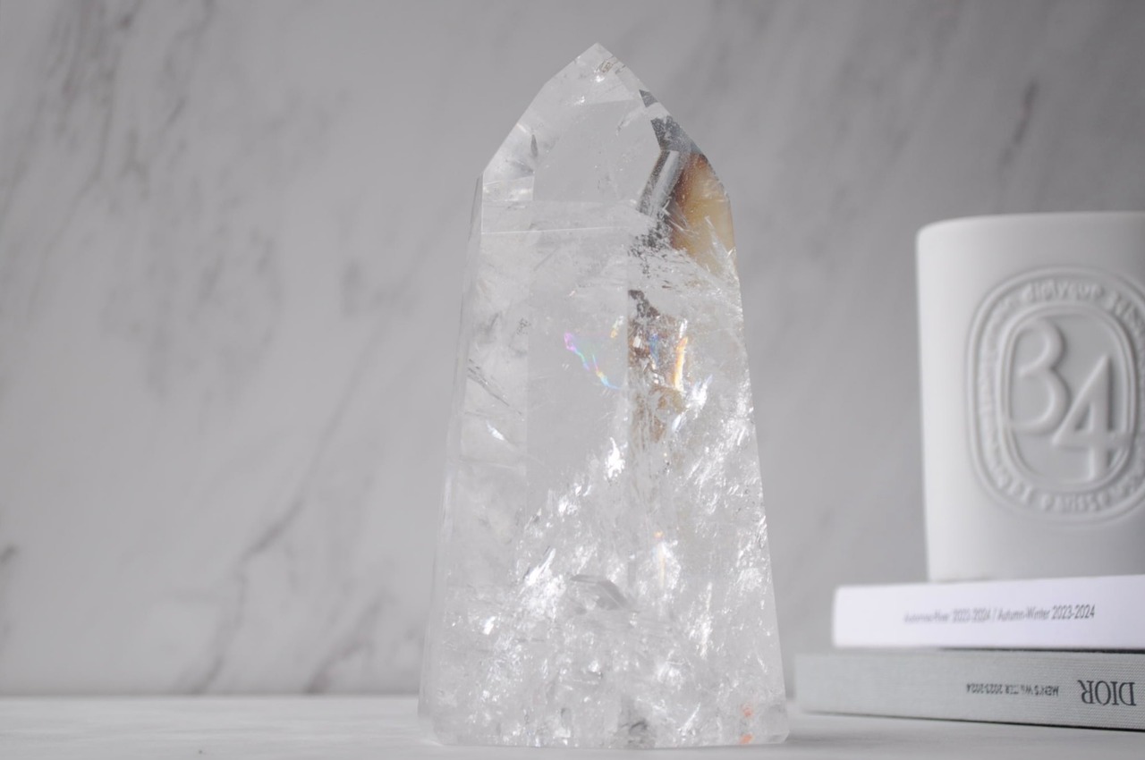 夢を叶えるりんごの樹55