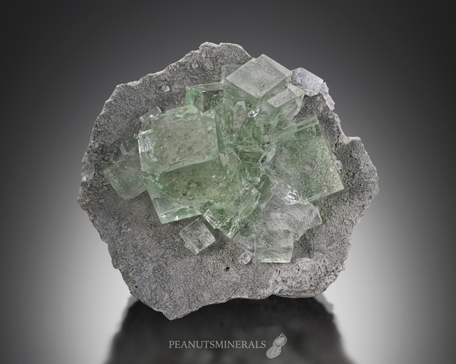 パイライト / フローライト / マスコバイト【Pyrite on Fluorite with Muscovite】中国産