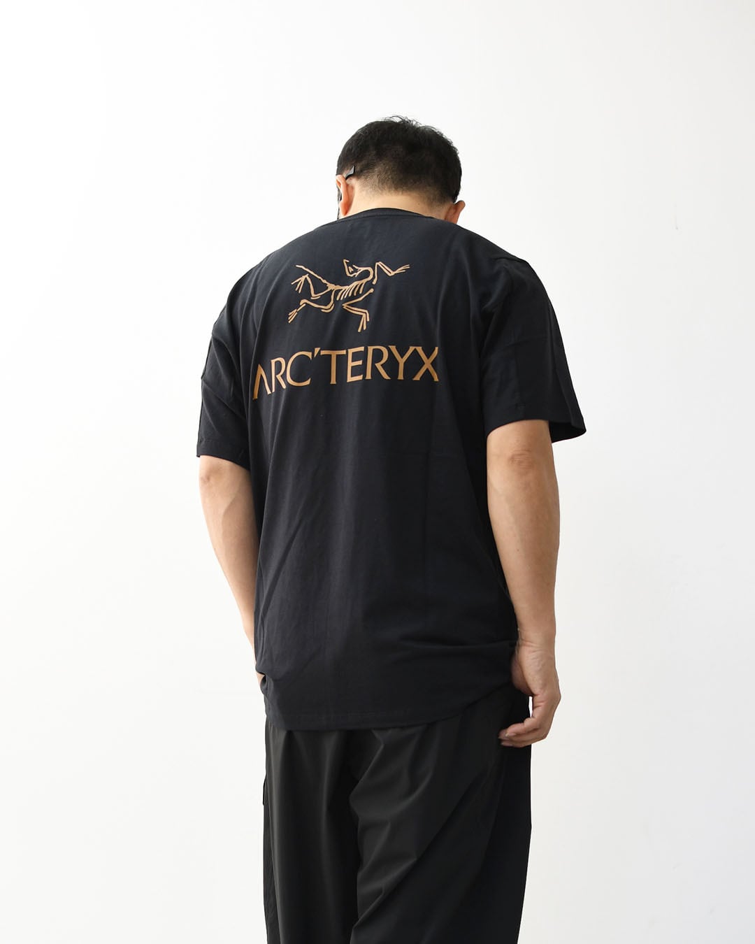 ARC'TERYX [アークテリクス正規代理店] Kragg SL Cotton Bird Word SS