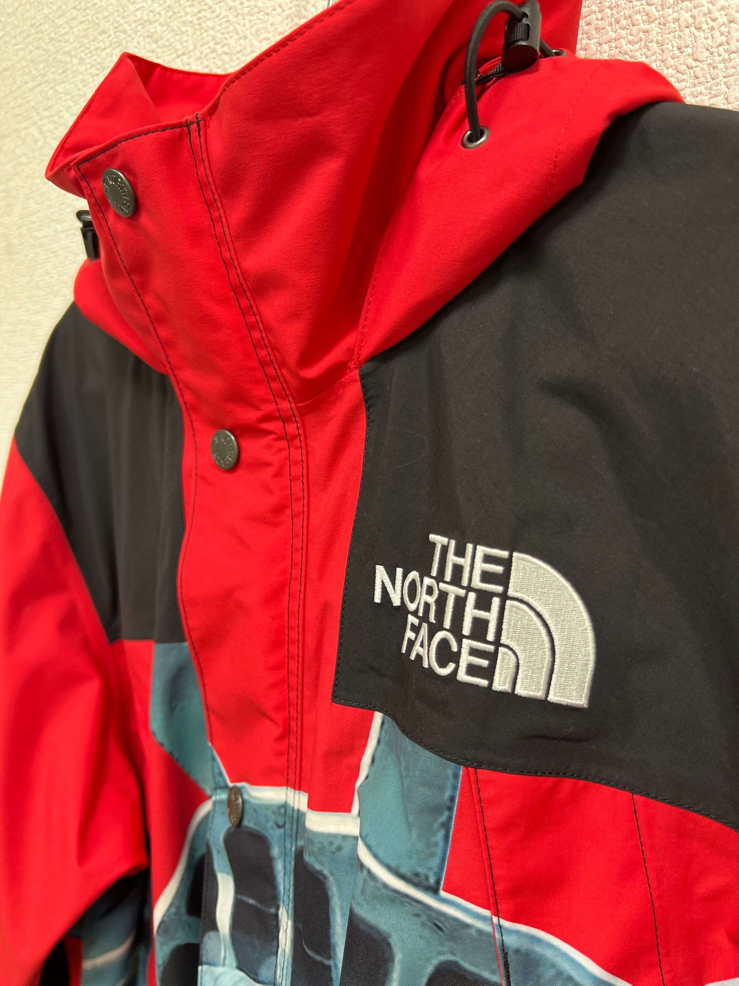 SUPREME x The North Face】Statue of Liberty Mountain Jacket サイズ