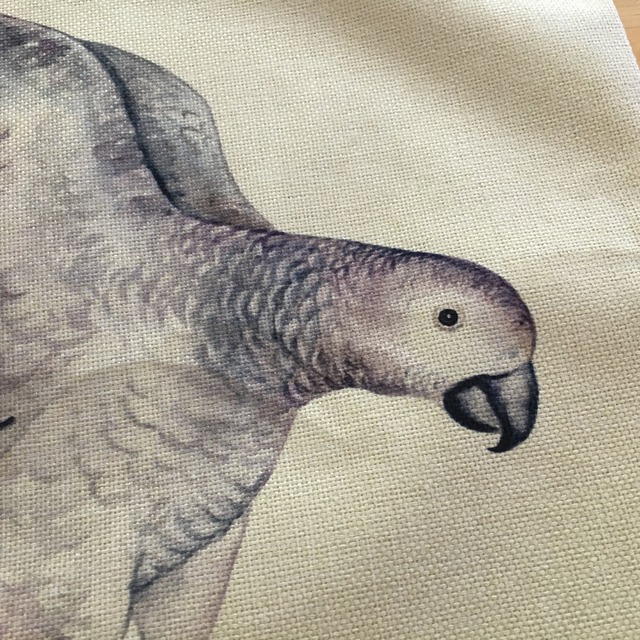 クッションカバー イラストタッチのヨウム 鳥モチーフの雑貨店 ことりとわたし クッションカバー イラストタッチのヨウム 鳥モチーフの雑貨店 ことりとわたし