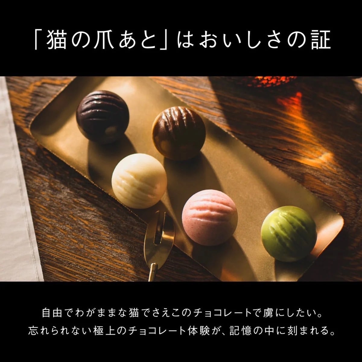 セーラームーン キャラクター缶 6個セット CACAOCAT缶 5個入『美少女戦士セーラームーン』 ｜DADACA Online Store
