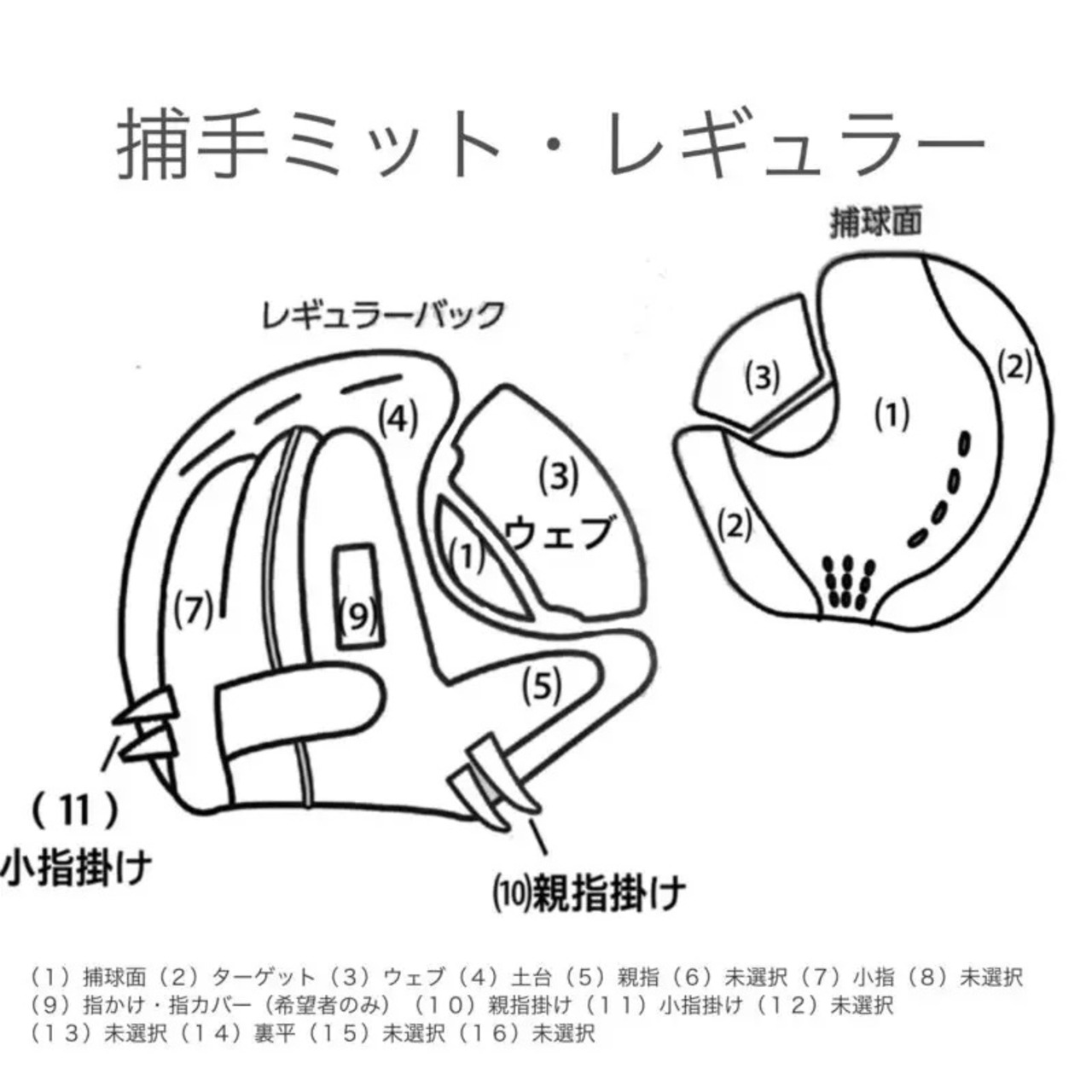 【硬式：捕手用オーダー】KNS-04モデル