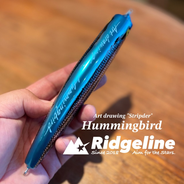 Hummingbird original / Art drawing "Striper3"