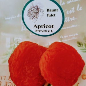 アプリコット（Apricot）40g