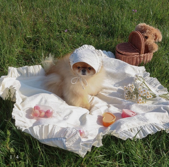 【予約】［ peachprivate ］blossom picnic mat Lサイズ