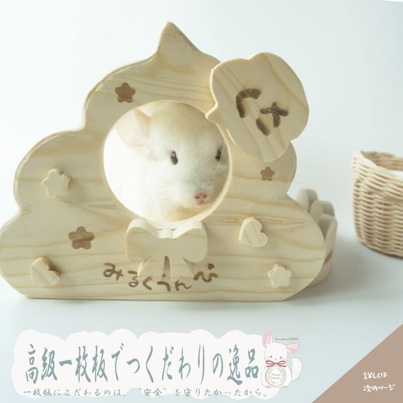 うんちステップ チンチラ