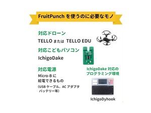 FruitPunch DakeJacket搭載 アクリルケース入りセット