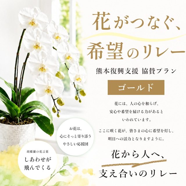 花がつなぐ希望のリレー｜フラワーリレープロジェクト〈ゴールド〉｜鉢｜生産者支援｜被災地復興支援｜フラワーロス削減