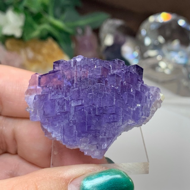 3.結晶美☆透明度あり☆パープルフローライト原石クラスター