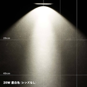 LEDライト AR型 20W 昼白色 ブラック