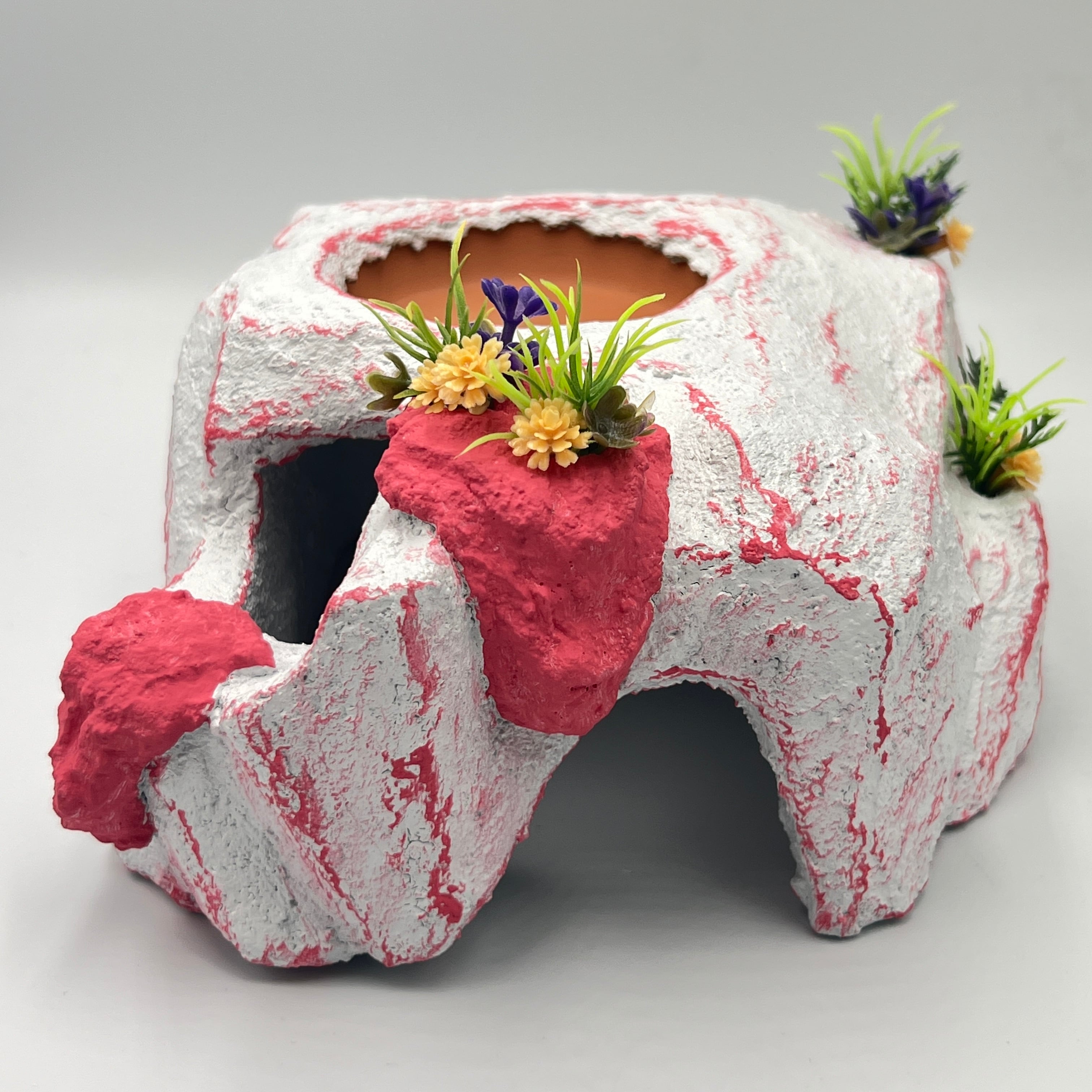 しぇる亭 爬虫類 ハンドメイド レオパ ニシアフ レイアウト 自然系