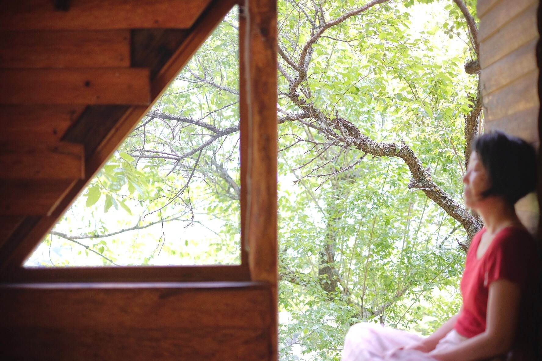 超越瞑想友の会|6月|ちいさな瞑想会