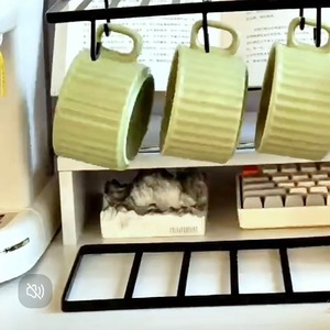 セットレトロコーヒーカップ[pn188]