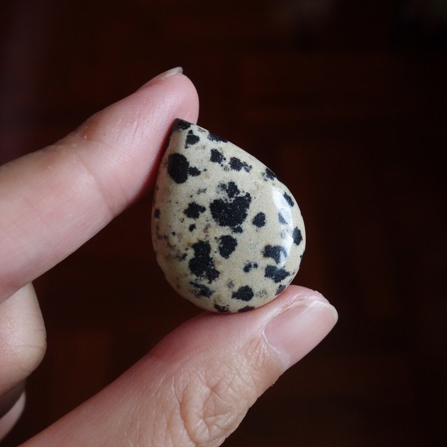 ダルメシアンジャスパー 天然石ルース | 天然石・パワーストーン専門店