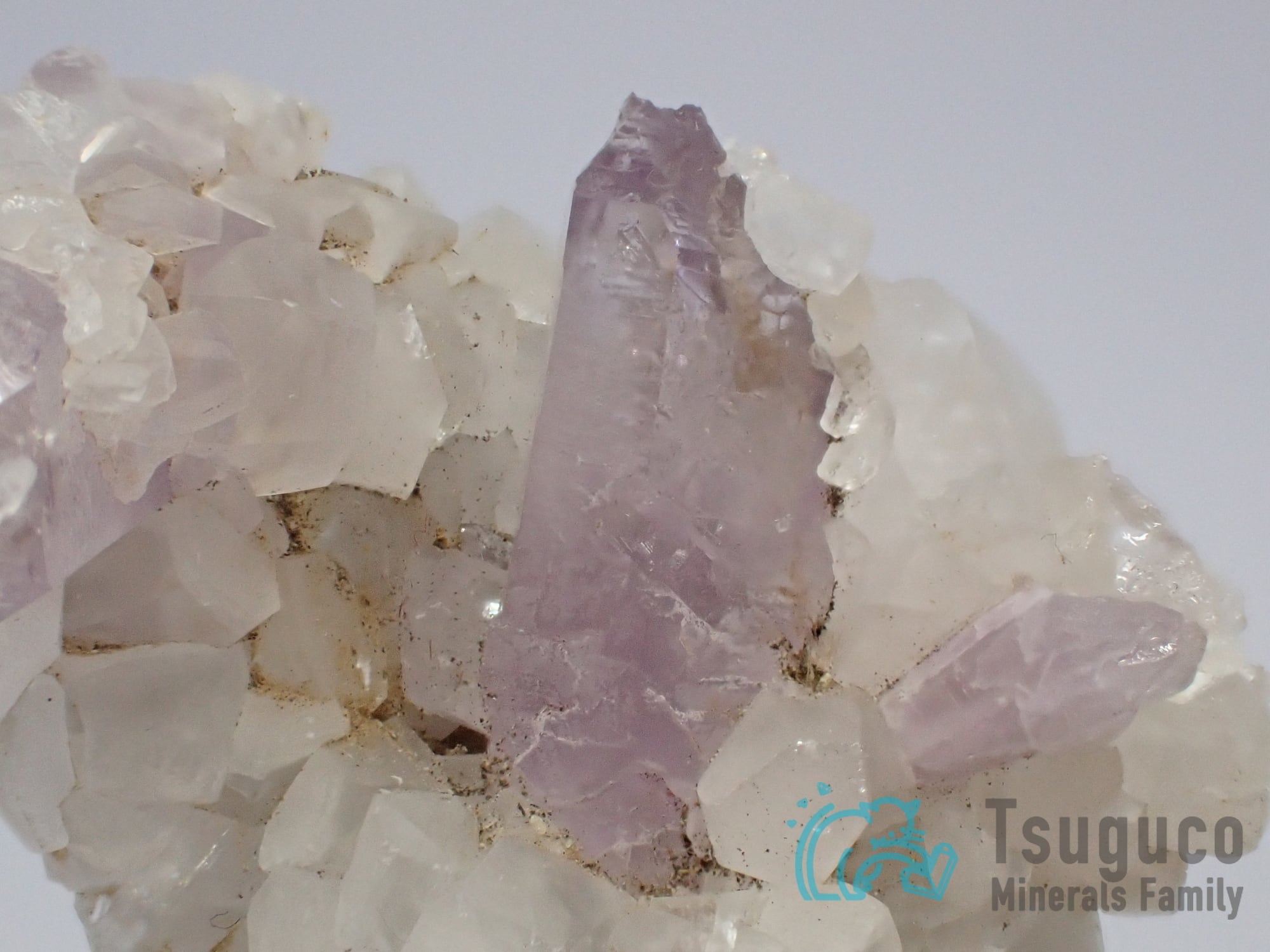 アメシスト アメジスト 紫水晶 ボリビア TM-745 | つぐこみねらるず