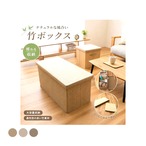 収納家具 B2F収納38×38×38 38×38cm リビング収納 抗菌 消臭 家具 ■使