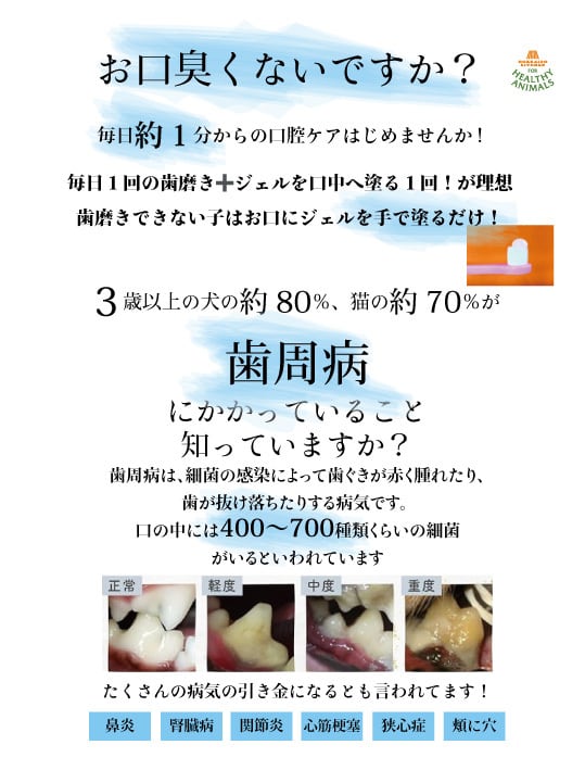 お得な3本セット】【犬猫用】究極の歯ブラシ「天使の羽ブラシ」SS