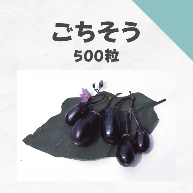 ごちそう　ナス種子・500粒