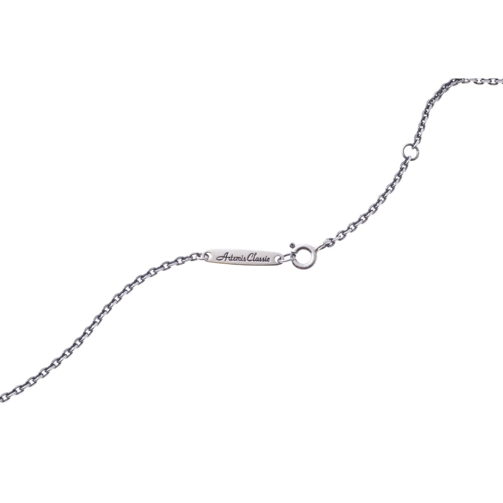 アクセサリー @zeki 3779.jpg