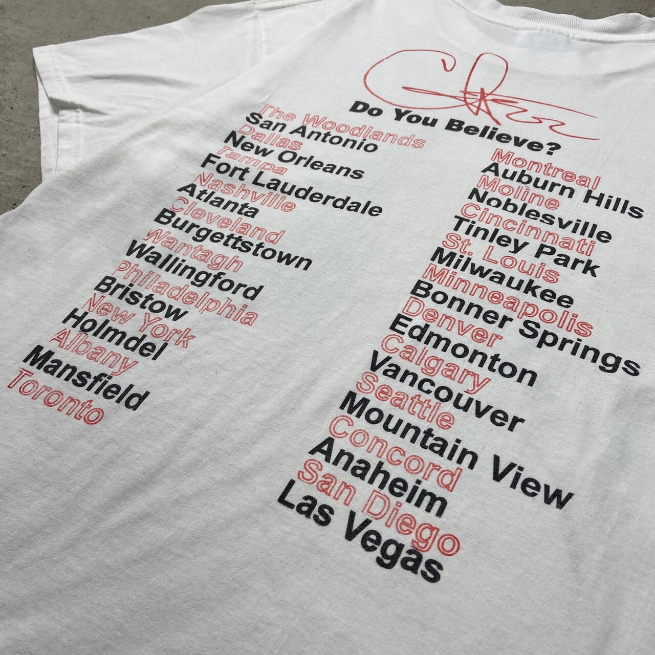 90年代 Cher シェール アーティスト バンドTシャツ バンT ツアー