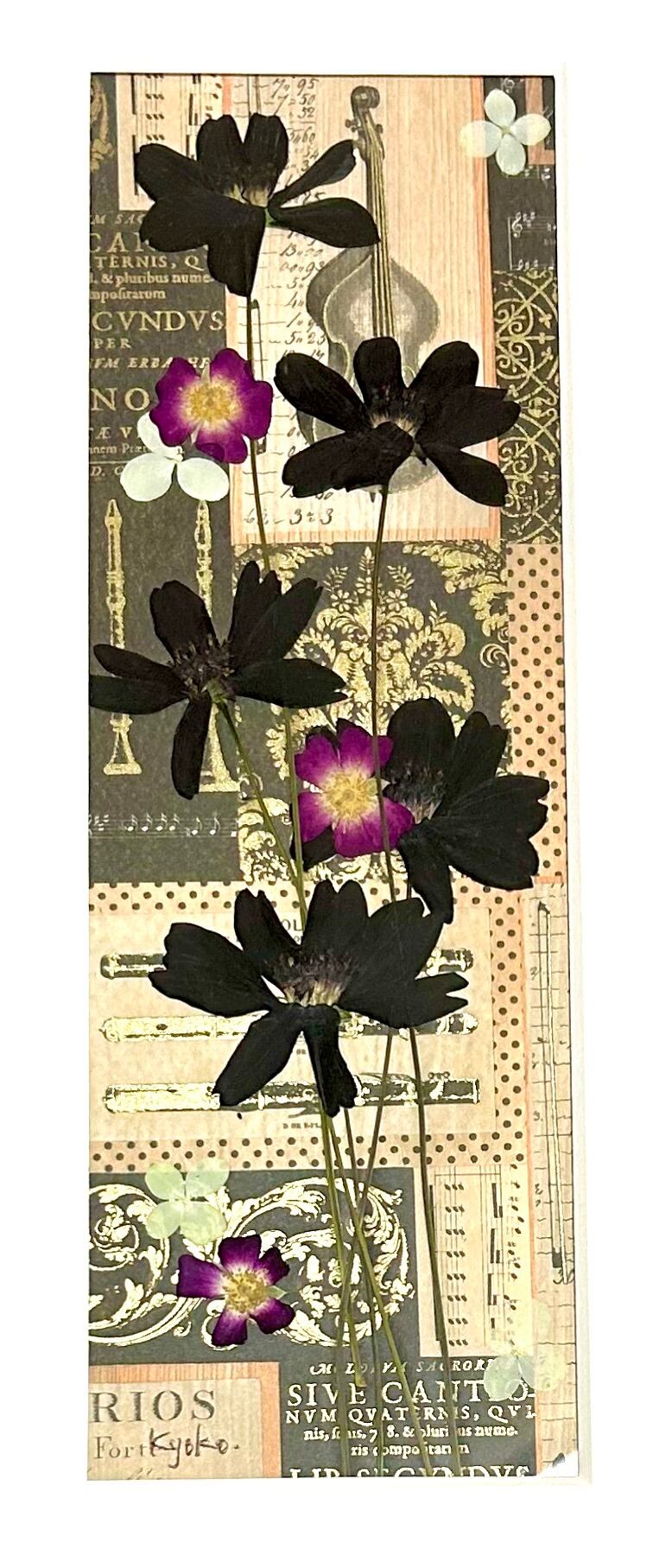 一点物！！コスモス 押し花  DIY品  額縁付き 一点物！！コスモス 押し花 DIY品 額縁付き 【公式通販】