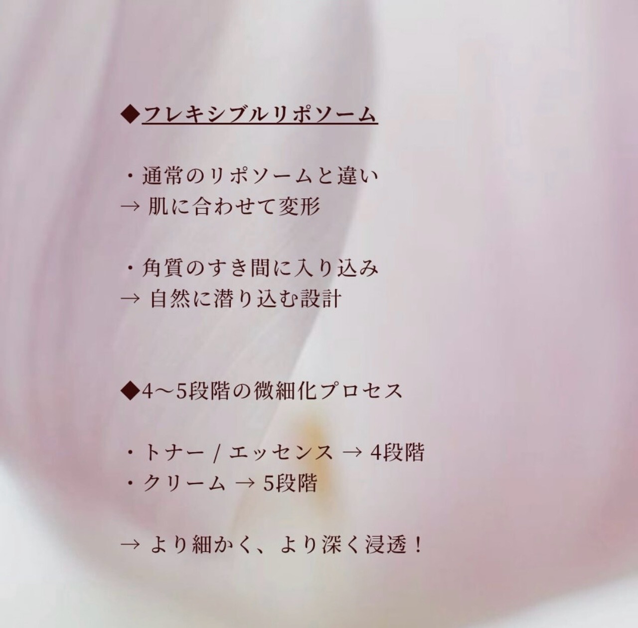 【美白シリーズ6点セット】韓国No.1コスメ
