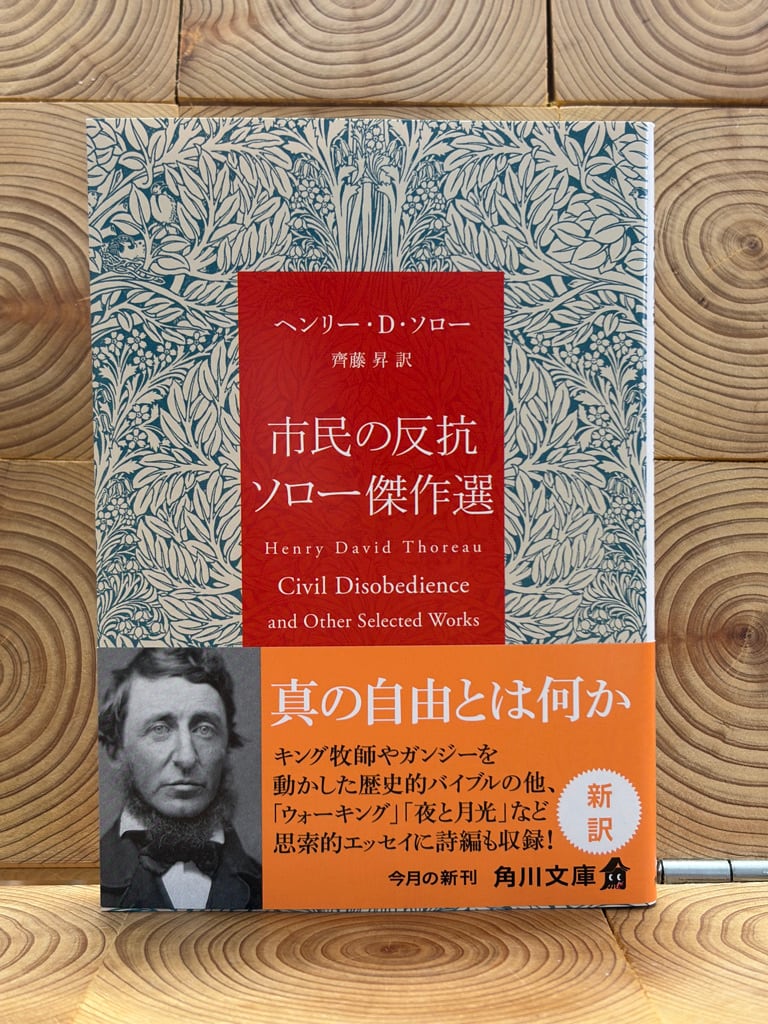 ガリバーの大ぼうけん ポプラ世界名作童話29 | 冒険研究所書店