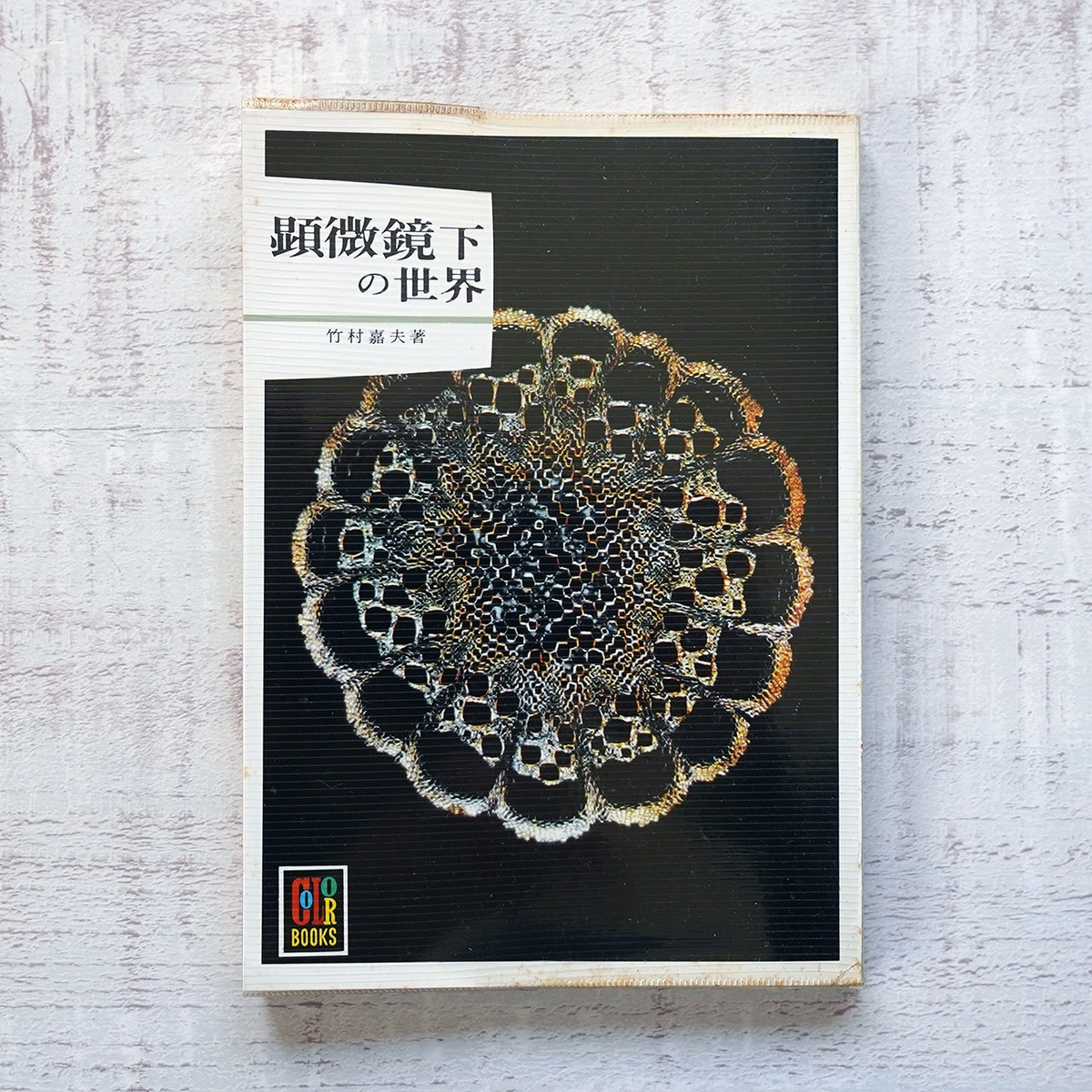 顕微鏡下の世界 (カラーブックス473) 竹村嘉夫 タイムカプセル