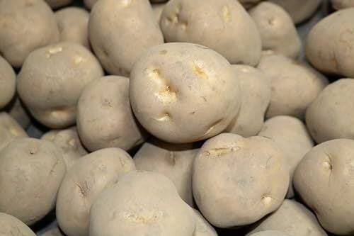 男爵薯 (Ｍ３kg)　北海道産タネ馬鈴薯