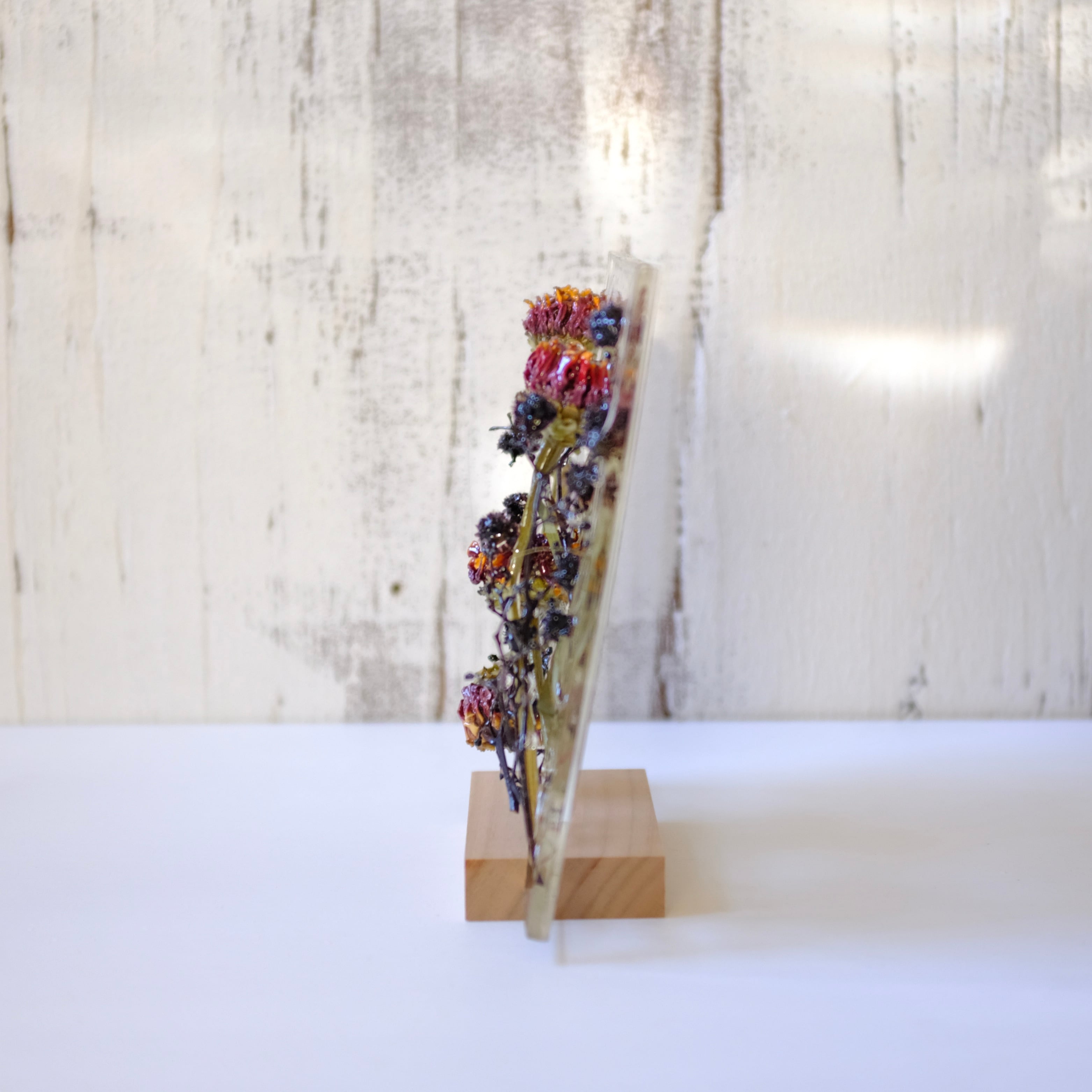 sumika dried flower square ジニアとスターリンジア | KieKa