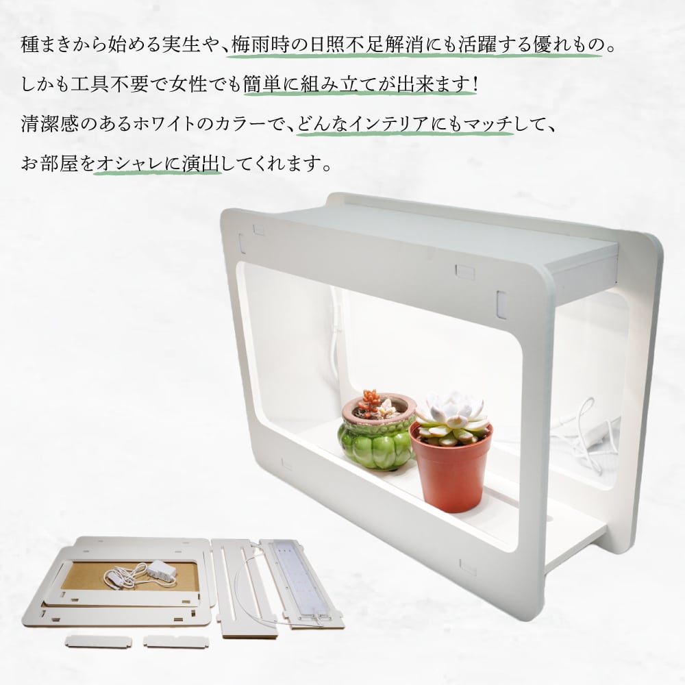 新商品 植物育成LEDライト GOAL 実生 種まき ハオルチア コーデックス