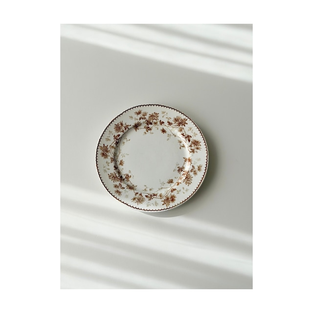 Creil et Montereau 　クレイユモントロー　/  “Mignardise”　brown　デイジーの平皿プレート　a