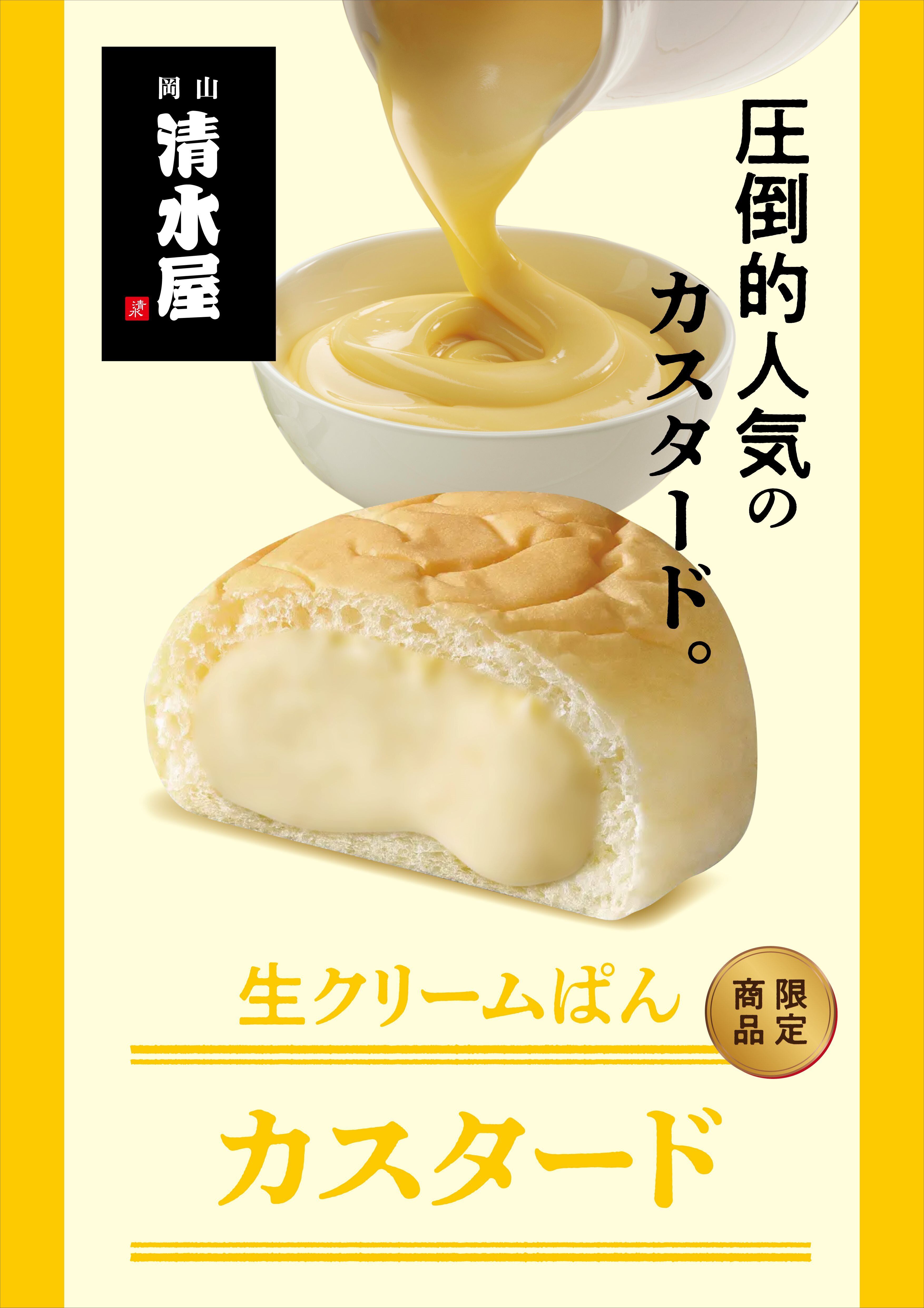 N　クリーム10本 生クリームパン10個セット【カスタード/生クリーム 各5個】 | 清水屋