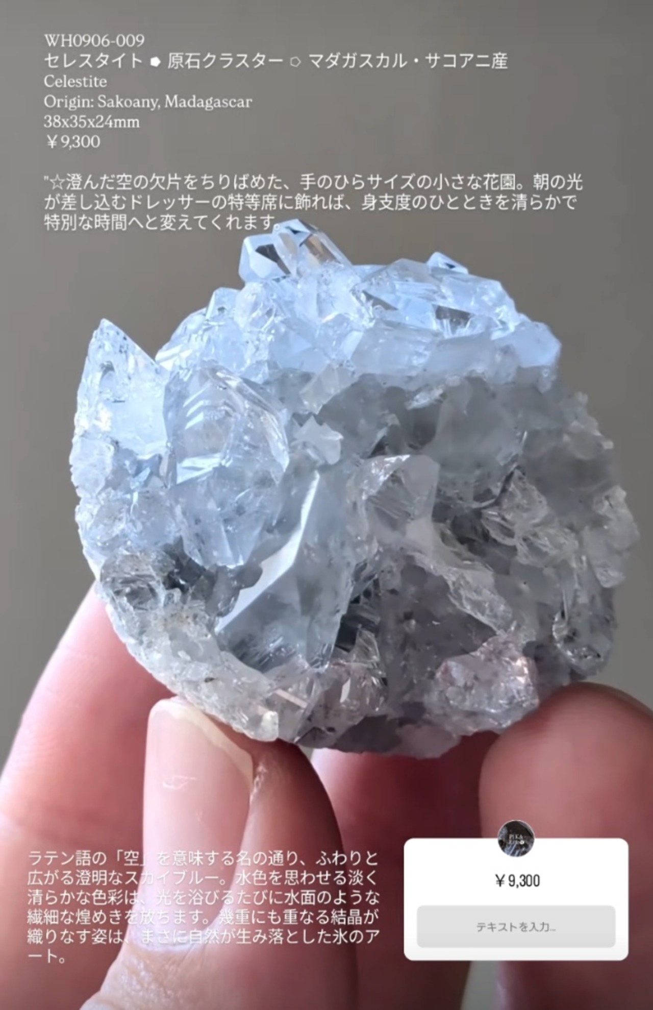 ⭔ お客様専用ページ ✦ kyouka_nishimura