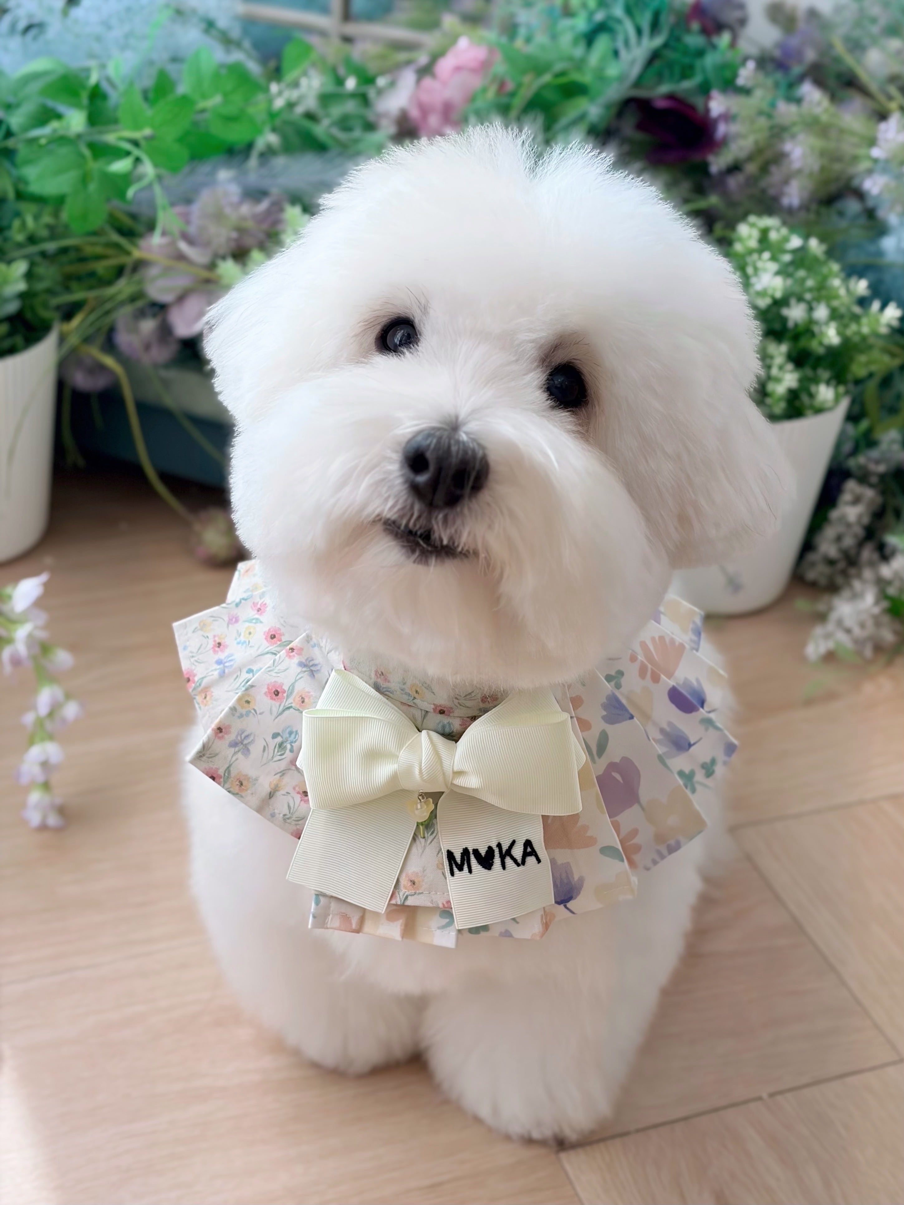 予約【26SS / MR.MOKA】Pleats Accordion Cape