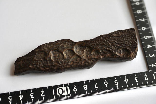 ゴビ砂漠産マッドストーン Gobi Desert Mudstone