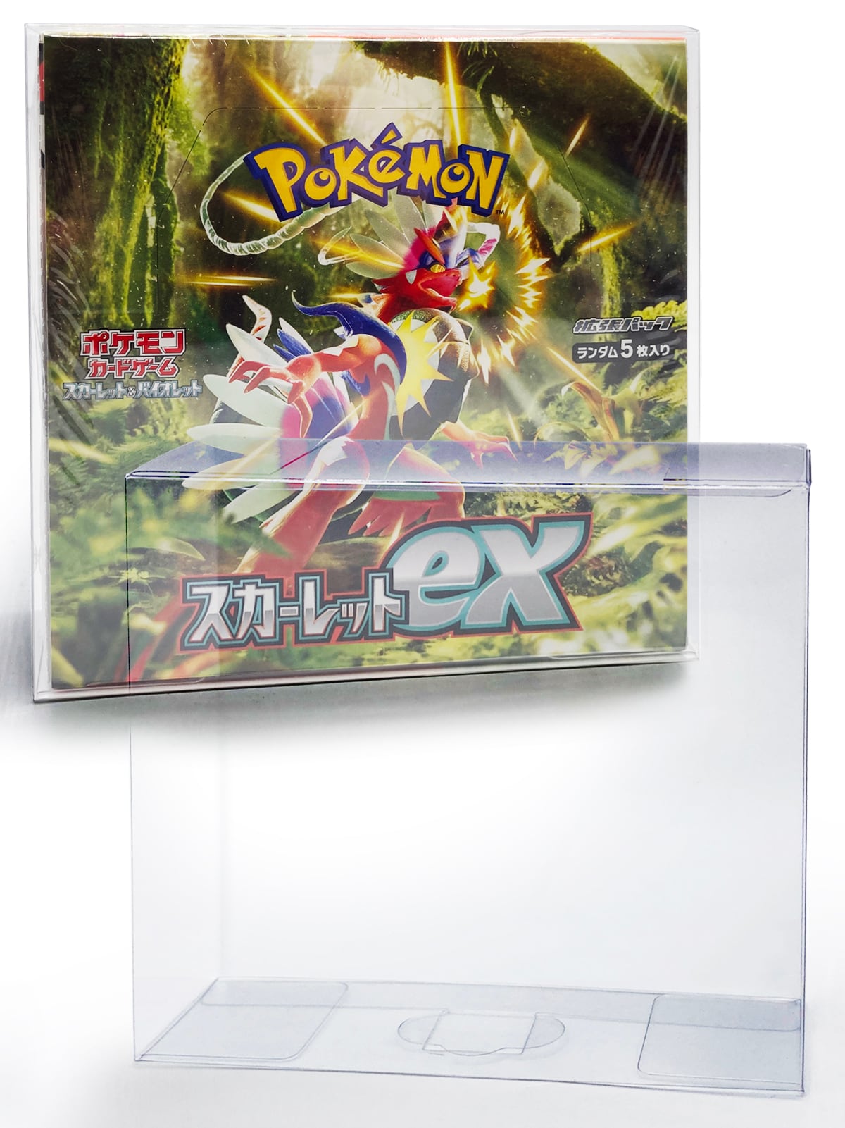 5枚セット ポケモンカードBOXローダー/保管用ケース | rimina