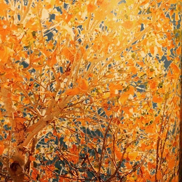 Jack Pierson 写真集 ポスター PIX 030 : JACK PIERSON ジャック・ピアソン JACK PIERSON -の