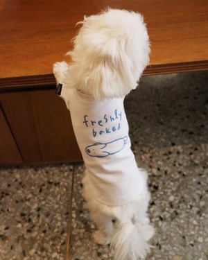 【予約】[ STAY MORRIE ] Freshly Baked Print T-shirt（お名前入り）