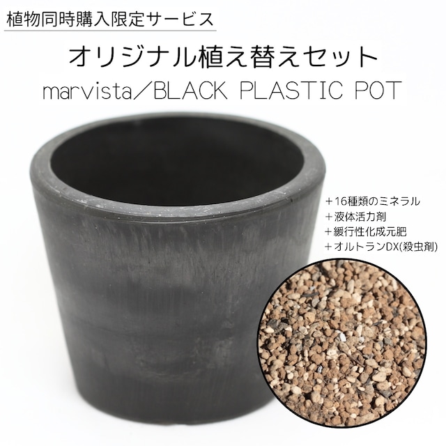 【植物 同時購入限定】オリジナル配合High performance用土 marvista製黒プラ鉢への植え替えメニュー
