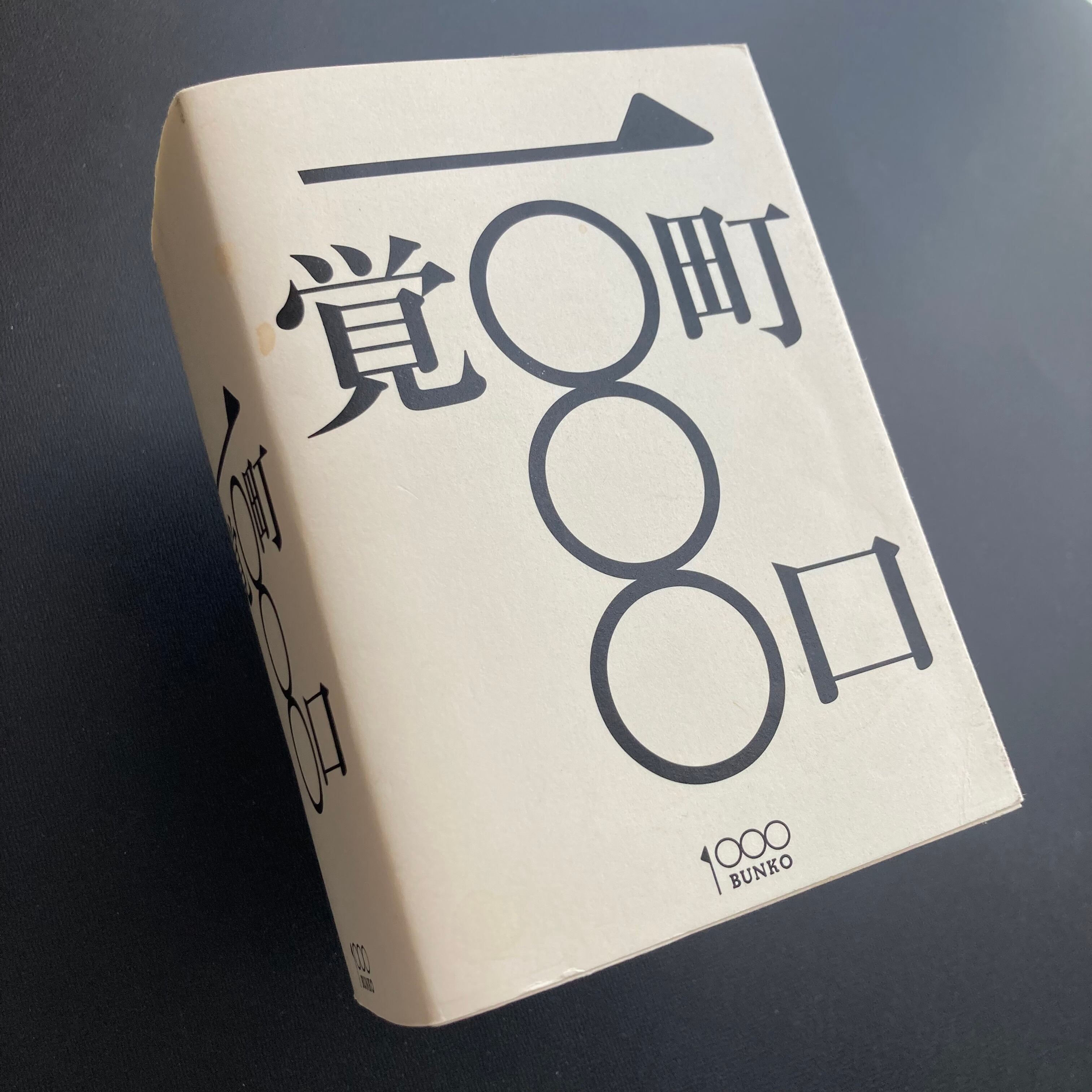 Points of View 視線の変遷 野又穫作品集 | ロムド書店